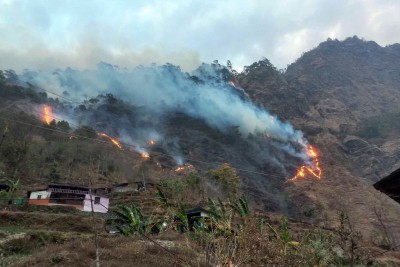 सामुदायिक वनमा आगलागी